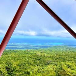 no, I didn't climb the power pole 🤪