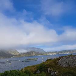 Die Lofoten - einfach phantastisch