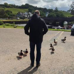 Dafür aber der Herr der Enten 😂 ein Entenflüsterer ohne Futter. Was für eine Enttäuschung.
