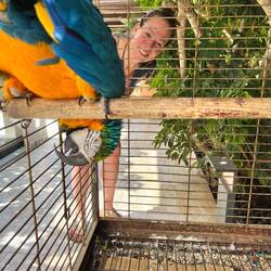 Talking with friends