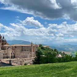 Urbino
