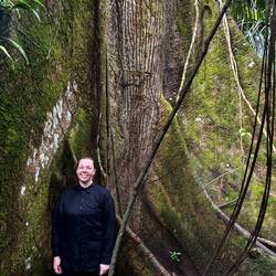 An den Wurzeln des Kapok-Baumes