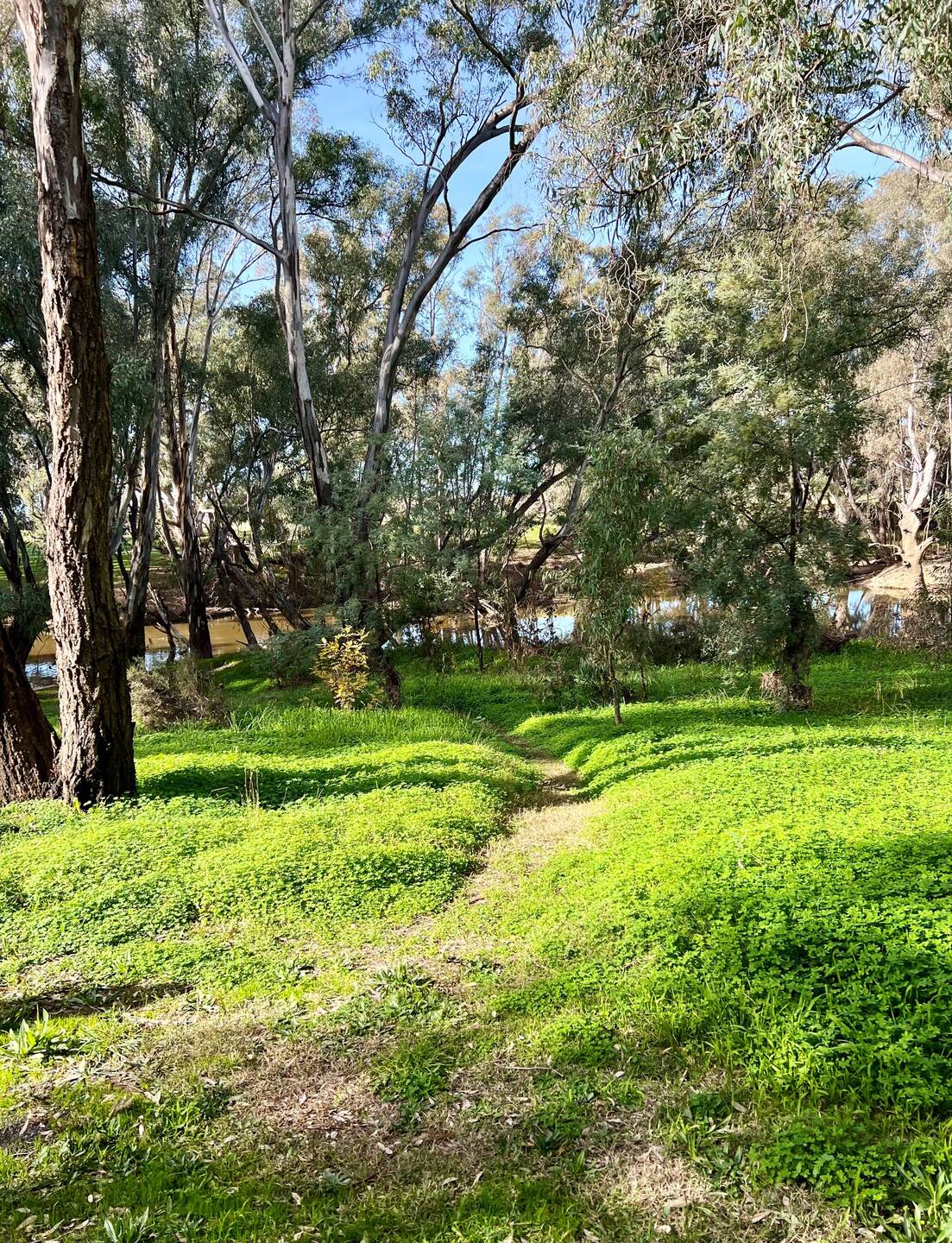 Along the Campaspe
