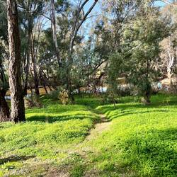 Along the Campaspe