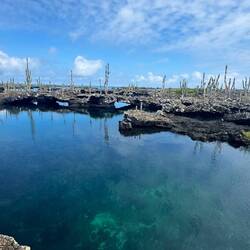 Lavasteinlandschaft bei los Tuneles auf Isla Isabela
