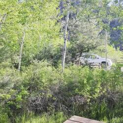 Thermacell sei Dank bleiben die meisten Fliegeviecher draußen