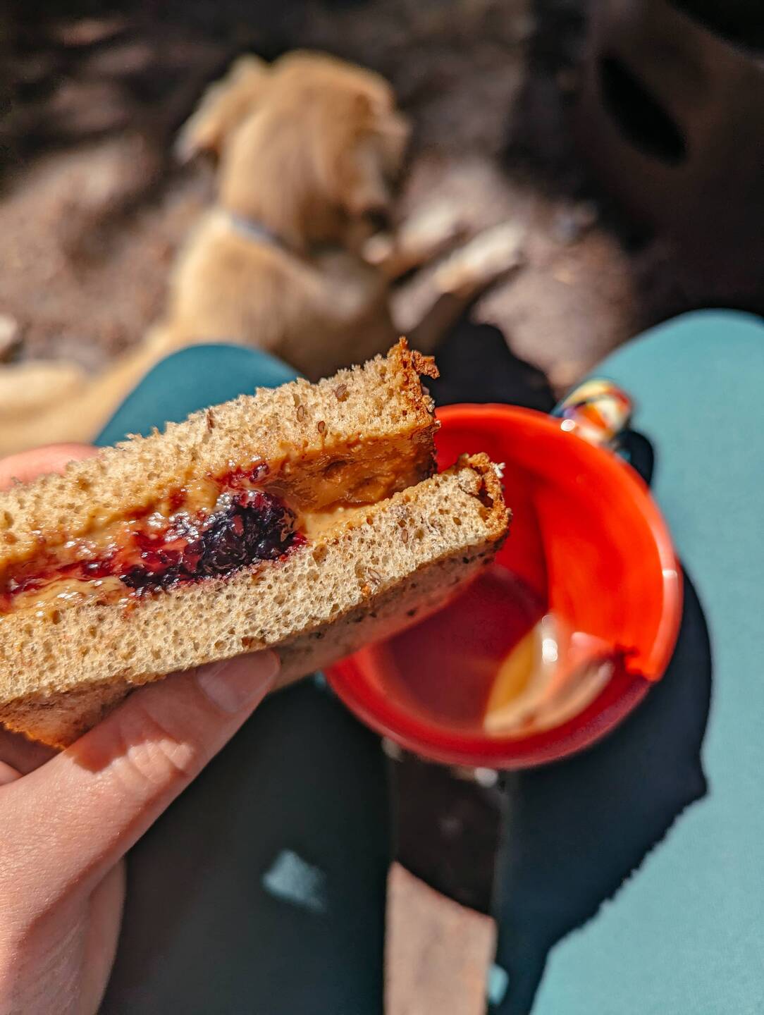 Peanut Butter Jelly Time