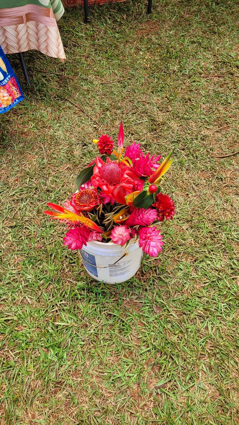 Princeville farmers market