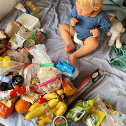 Während wir Ameisen bekämpfen, futtert Freddi an den Vorräte