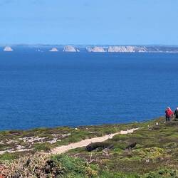 Blick auf die Erbseninseln