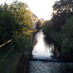Der Fischbach der hier in die Nahe fließt