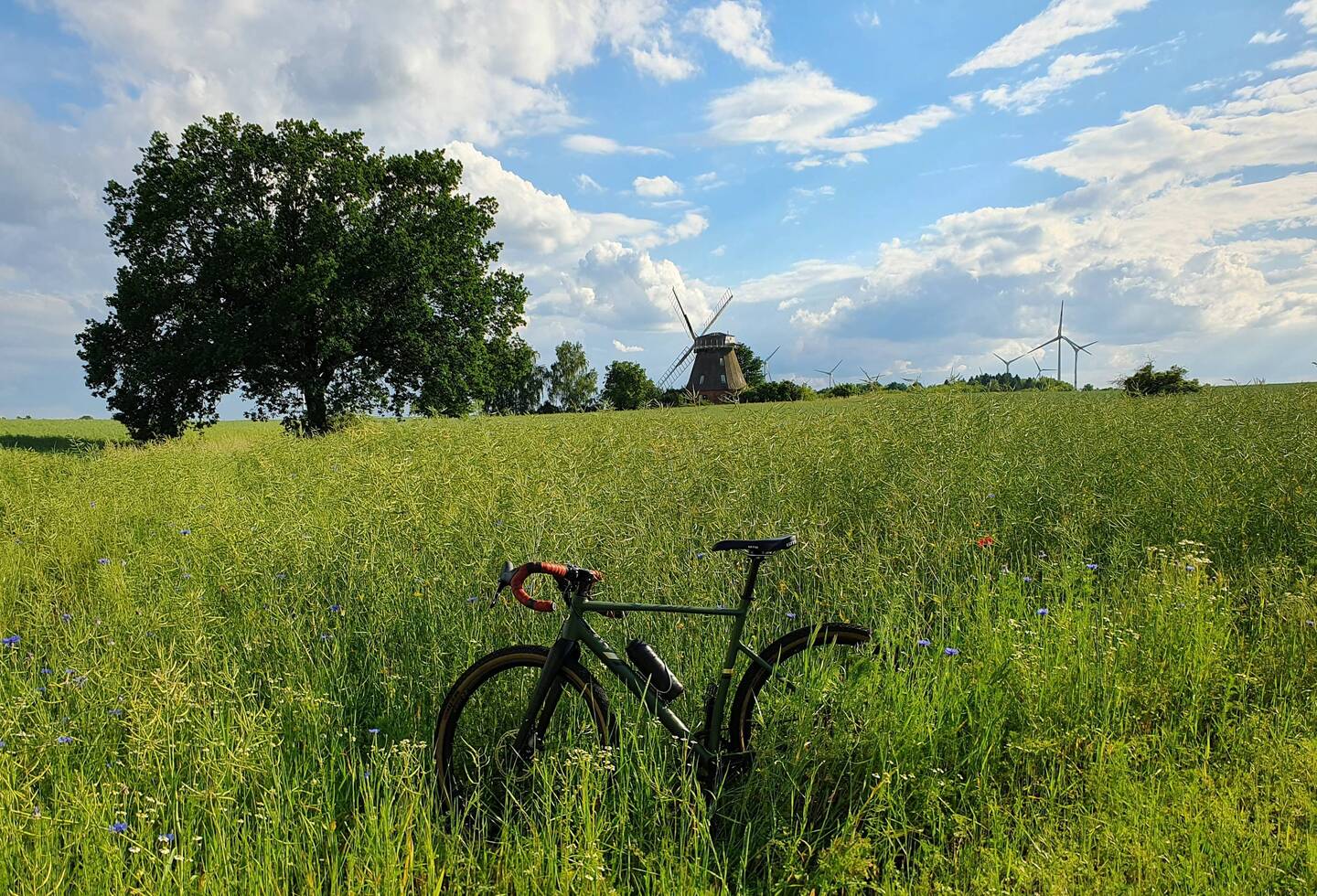 Erdholländer-Windmühle in Grebbin