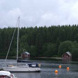 Norn alleine im Hafen