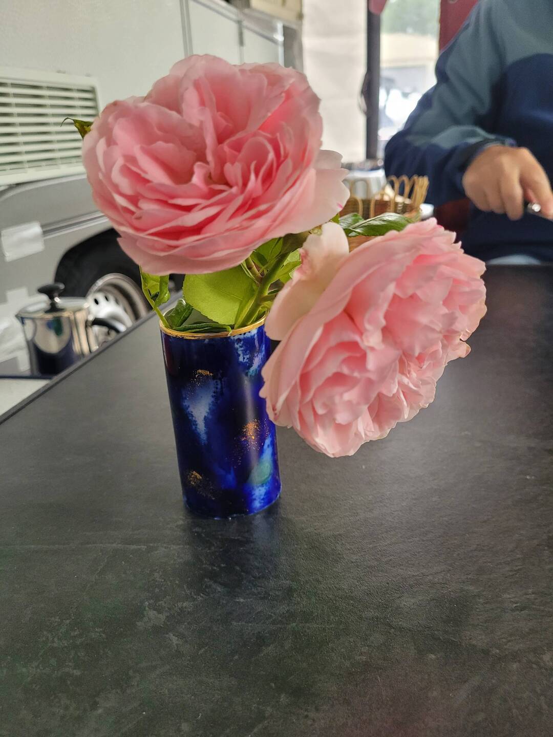 Omis Rose 🌹 in Brunis Vase