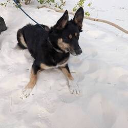 Della in the Gypsum. It was like being on the beach with no sea.