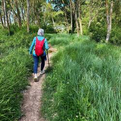 River path near Burgos