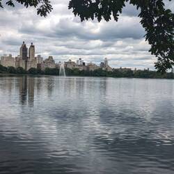 The Reservoir