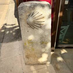 Shell