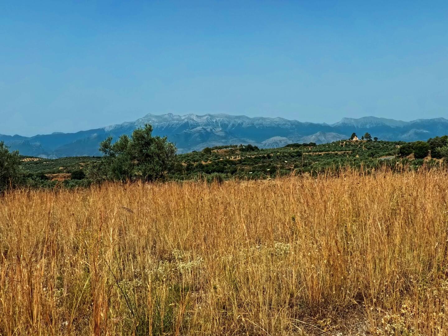 Site archéologique de Mycènes