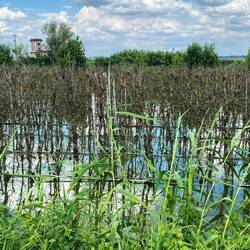 Ich hab noch nicht rausgefunden was es ist ...