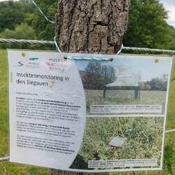 Insektenmonitoring!☝️