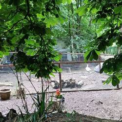 Farmlet beside the towpath