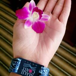 Aufmerksamkeit vom Hotel