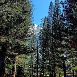 Diese Vegetation gibt es auch hier