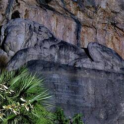 Le lion des Bavarois