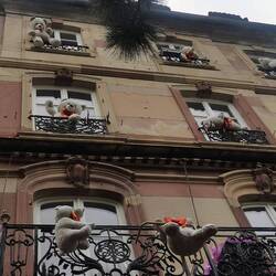 Was ist das mit den Teddys🧸? Erst in Barcelona im Café und jetzt hängen sie auf Balkonen rum 🤔