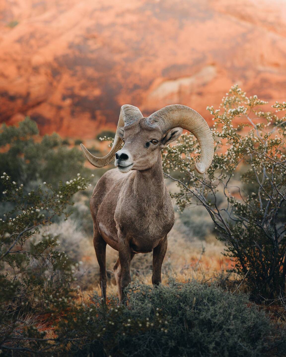 Waking up to this (taken by Michael)