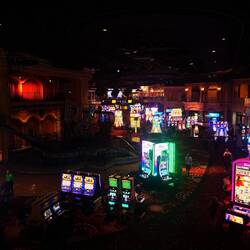 Wanna lose some money?