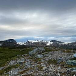 Suchbild: Finde die Einraumwohnung.