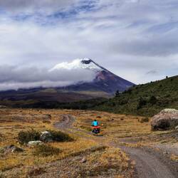 Den Cotopaxi immer im Blick