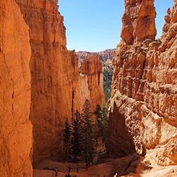 The switchback for climbing out for us