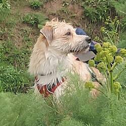 In Deckung vor Blitz & Hagel