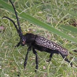 Was es alles gibt😅