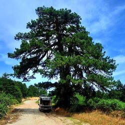 Flucht in den Schatten bei 29 Grad