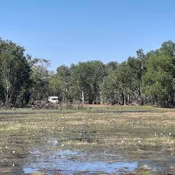 Unser Ernie ennet dem Billabong