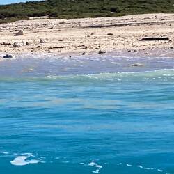 One of the Lacepede islands - and that's a croc lying on the beach