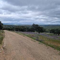 Das weite grüne Tal der Sierra Norte de Sevilla.