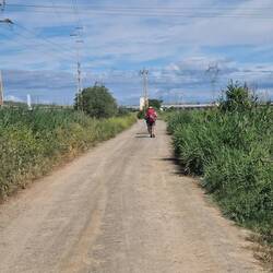 Pilger auf Pilgerweg, Tim Kriesten, 2024.