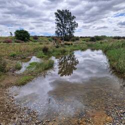 Wasser auf Pilgerweg, Tim Kriesten, 2024.
