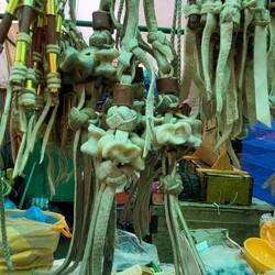 Knochen - wofür auch immer