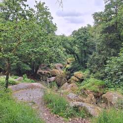 Blick auf die tollen Felsformationen