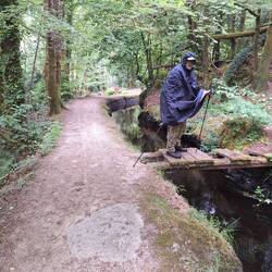 Rückweg am Kanal entlang (auch hier gibt es marode Forstbrücken)