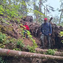 Auf der Suche nach dem richtigen Weg