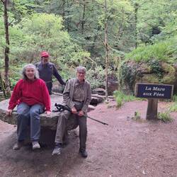 Feenteich im Zauberwald