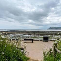 Getting a little artsy