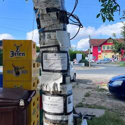 Todesanzeigen Baum in einem Dorf